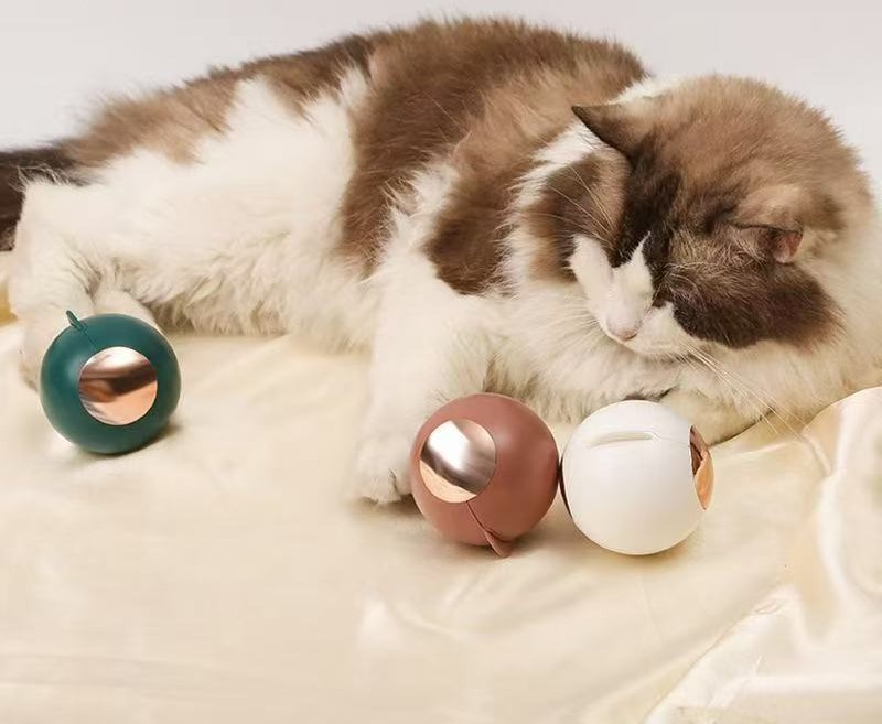 SwiftLint Roller 28 cat with lint rollers FLOWADO