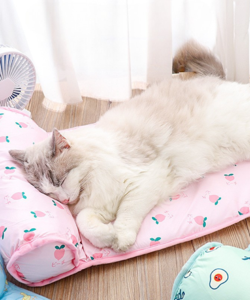 cat on cooling mat FLOWADO