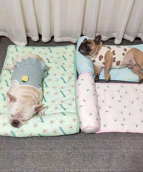dogs on the mat2 FLOWADO